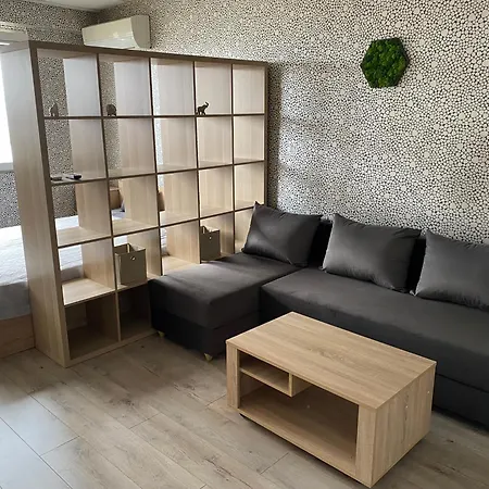 Panoramic View דירה