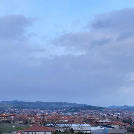 Panoramic View
